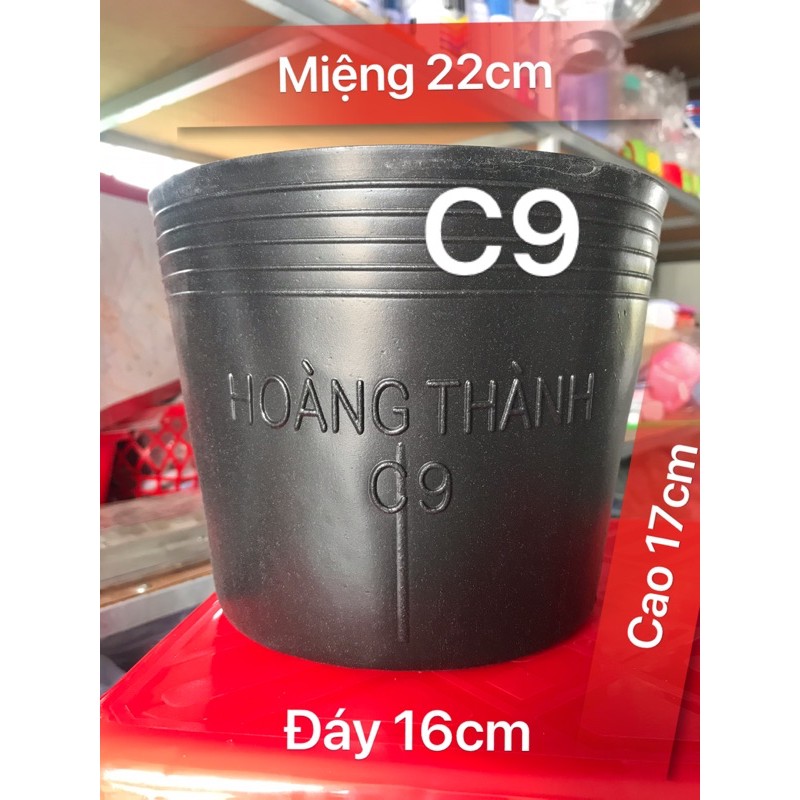 10 chậu nhựa đen dày c9,c8,c7,c6 ươm cây giống