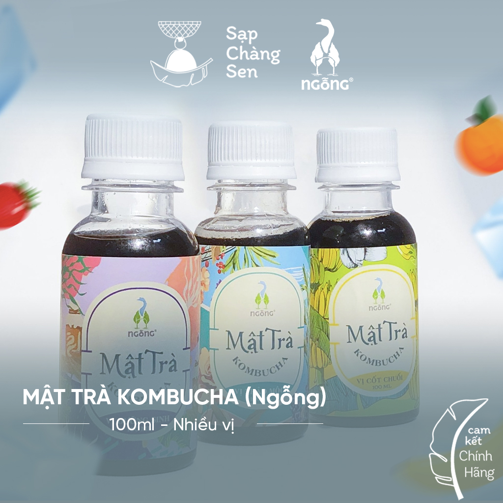 Mật trà kombucha (Ngỗng) | cốt chuối, thảo mộc, dưỡng sinh