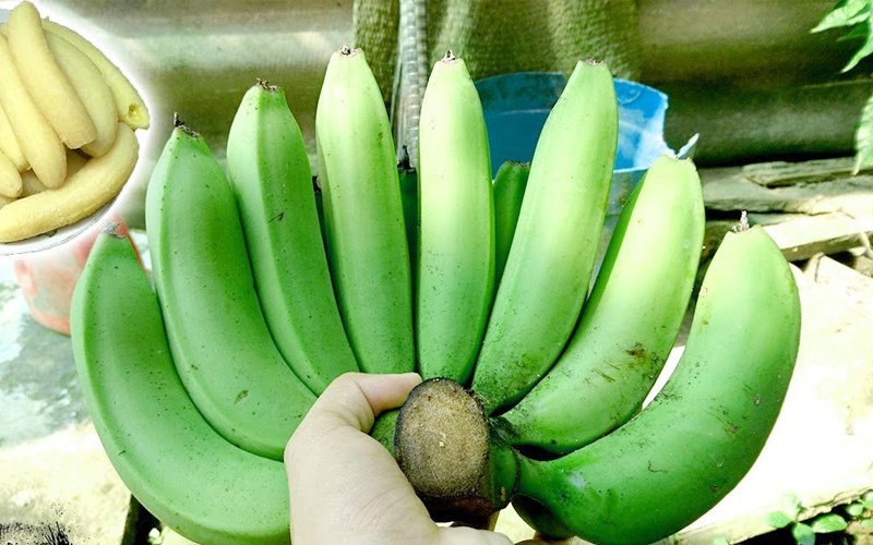 Cây giống Chuối mật lùn NAM MỸ.