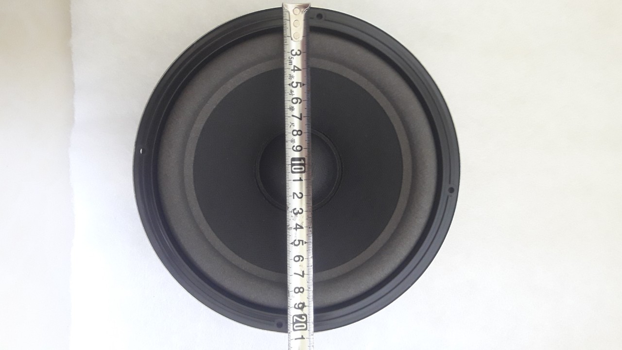 LOA BASS 20 BOSE CAO CẤP - GIÁ 1 CHIẾC