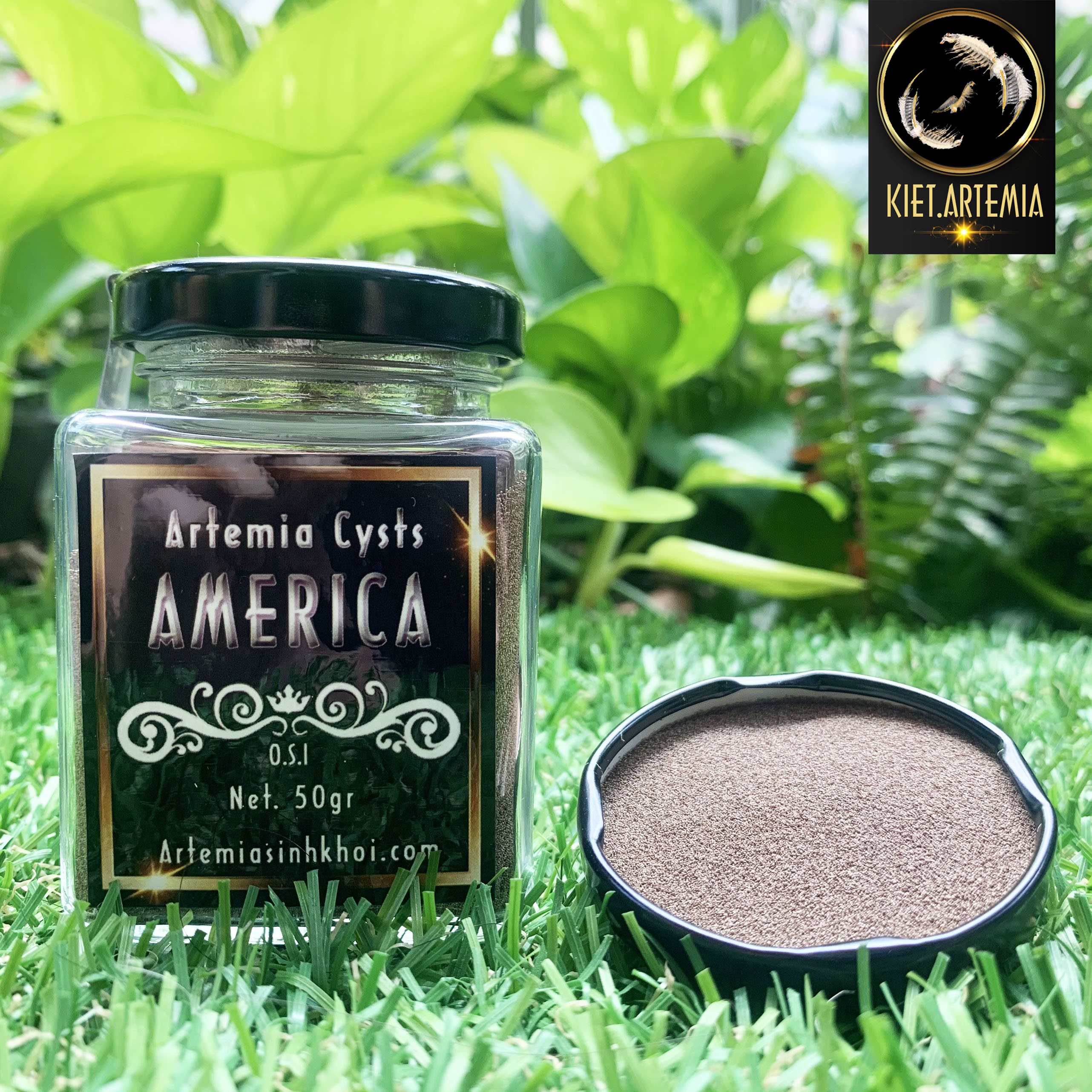 Artemia Mỹ Cao Cấp 50gr