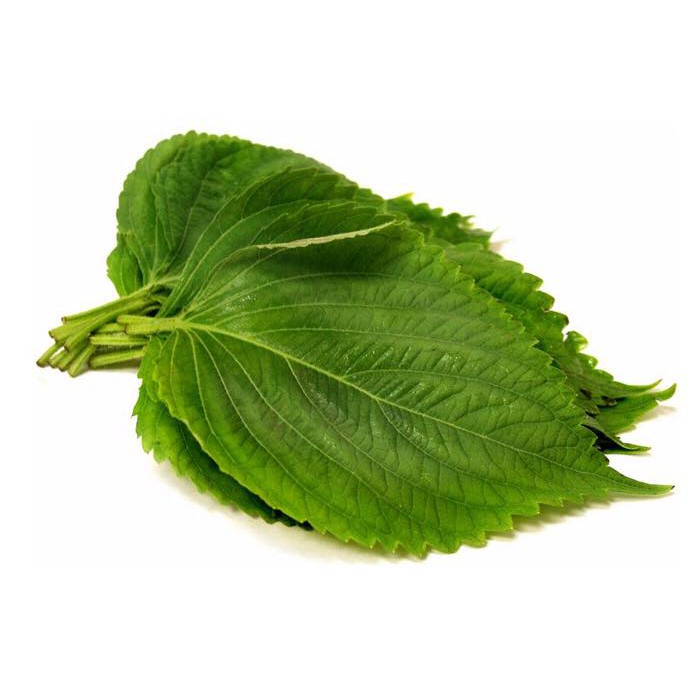 Hạt giống Lá Mè/Vừng Ăn nướng