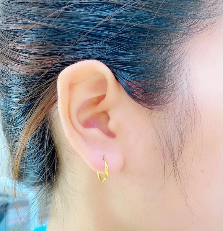Selini | Bông Tai Dài Dáng Treo Thả Đính Đá | Khuyên Tai Nữ | Junie