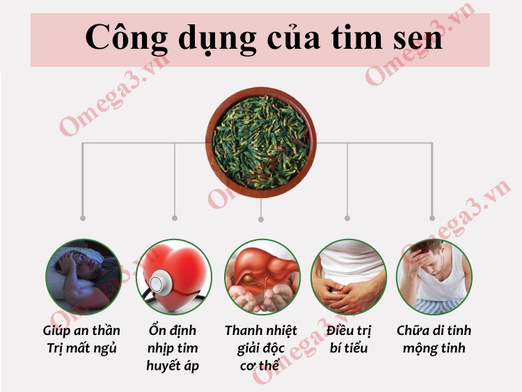 [Giá hủy diệt] 50G Tâm sen khô ( tim sen khô )