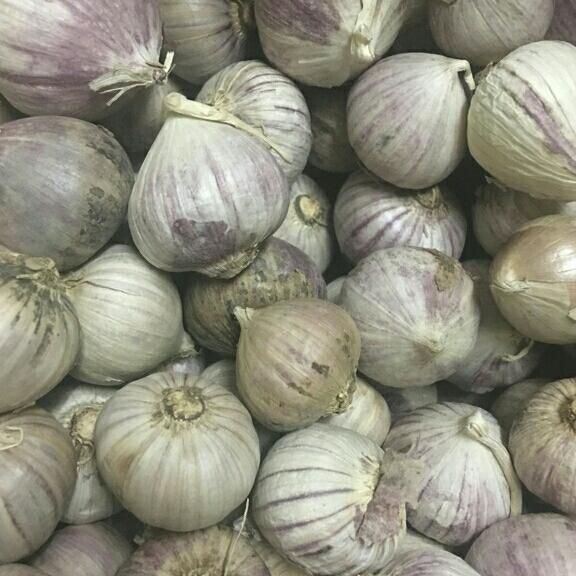 1kg tỏi cô đơn loại đặc biệt