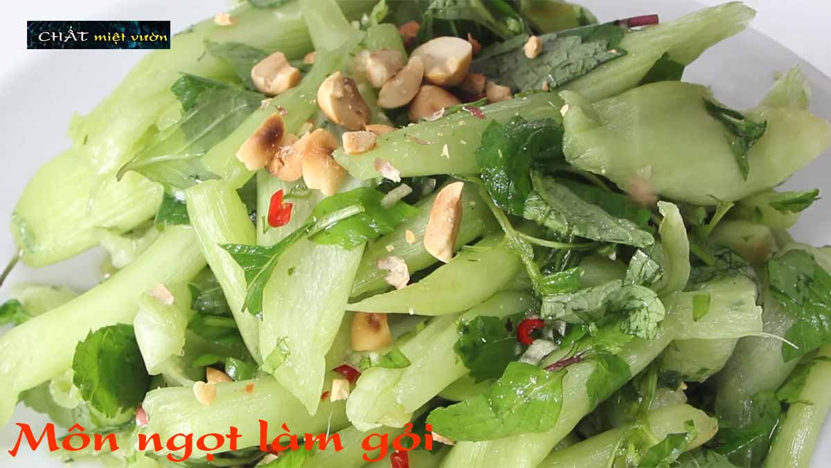 Combo 10 cây môn ngọt giống siêu bẹ/siêu ngó