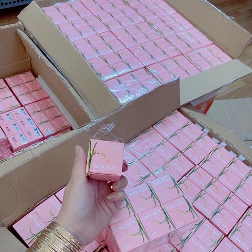 [HCM]KÍCH TRẮNG SỮA GẠO