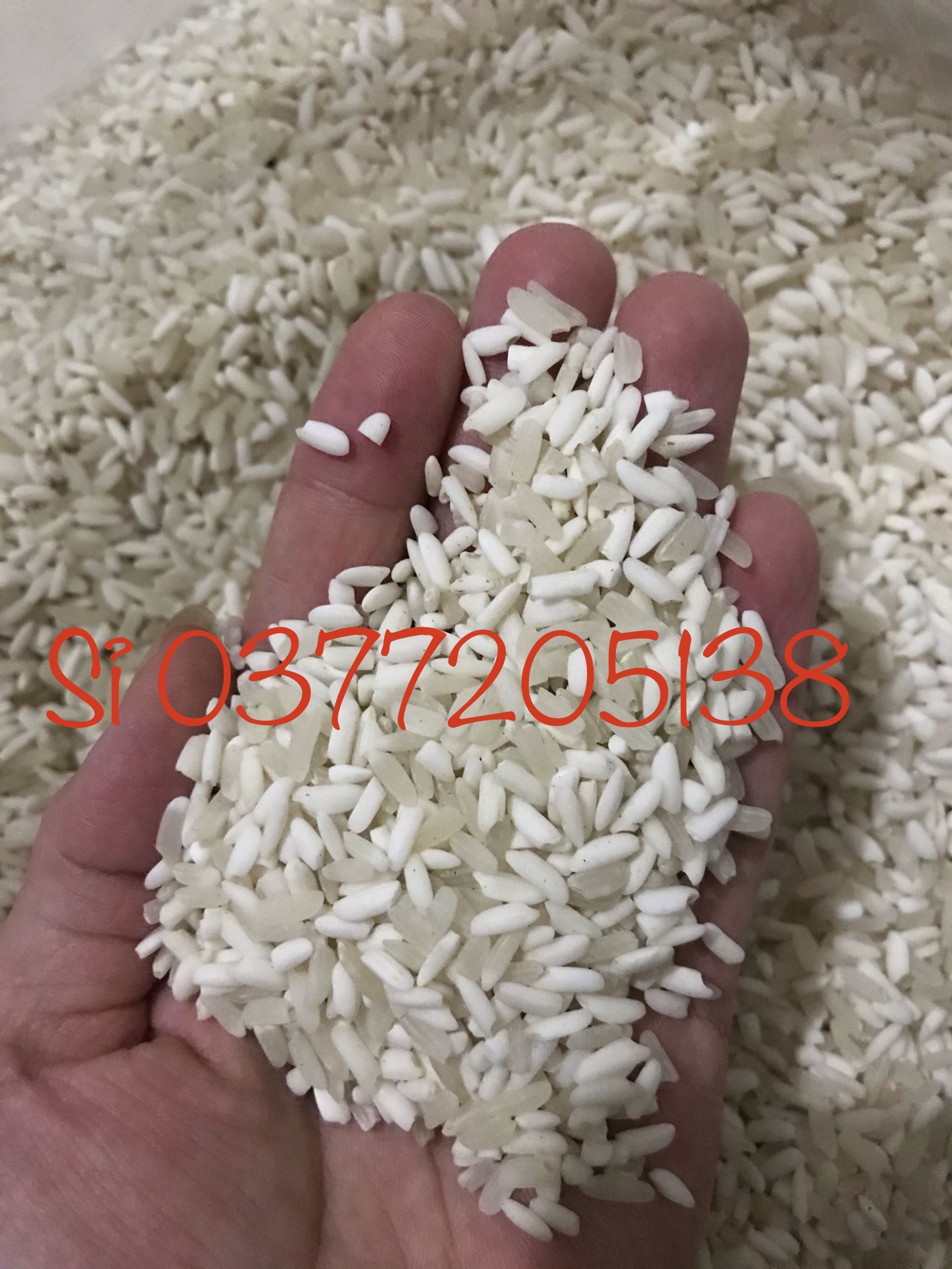 Gạo nếp điện biên (1kg)
