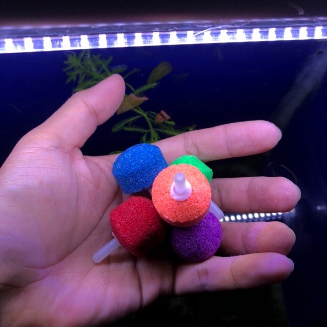 [OXI CÁ CẢNH ] Combo 5 cục sủi oxi cho cá cảnh