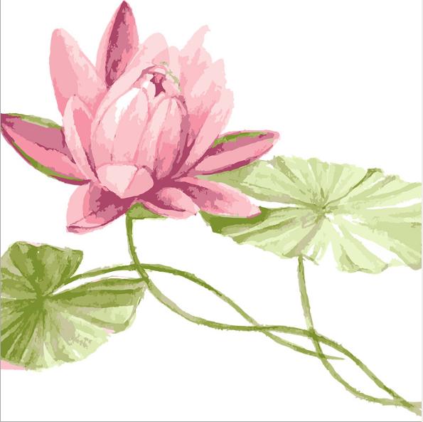 [HCM]Decal dán kính cao cấp - Hoa Sen Lớn (60x58cm )-DK7179