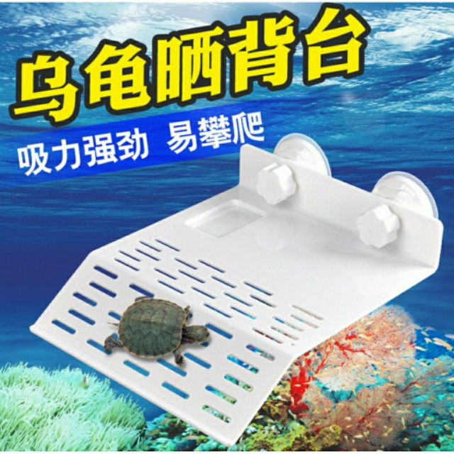 Bệ phơi nắng cho rùa- máng đứng gắn thành bể cho rùa phơi nắng-tấm nhựa cho rùa phơi nắng