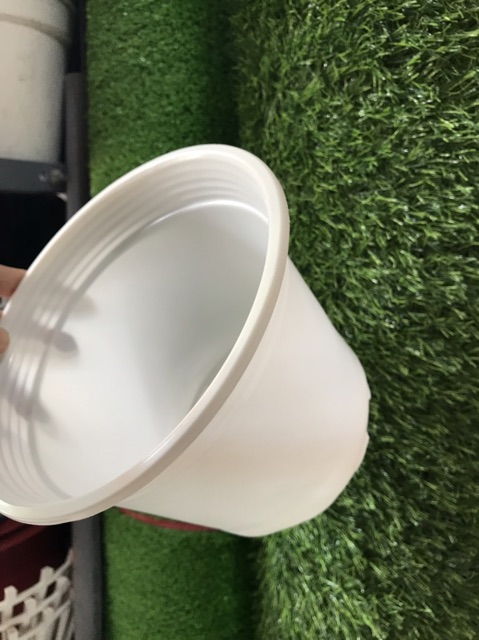 Combo 50 Chậu Nhựa Trồng Cây 19*14