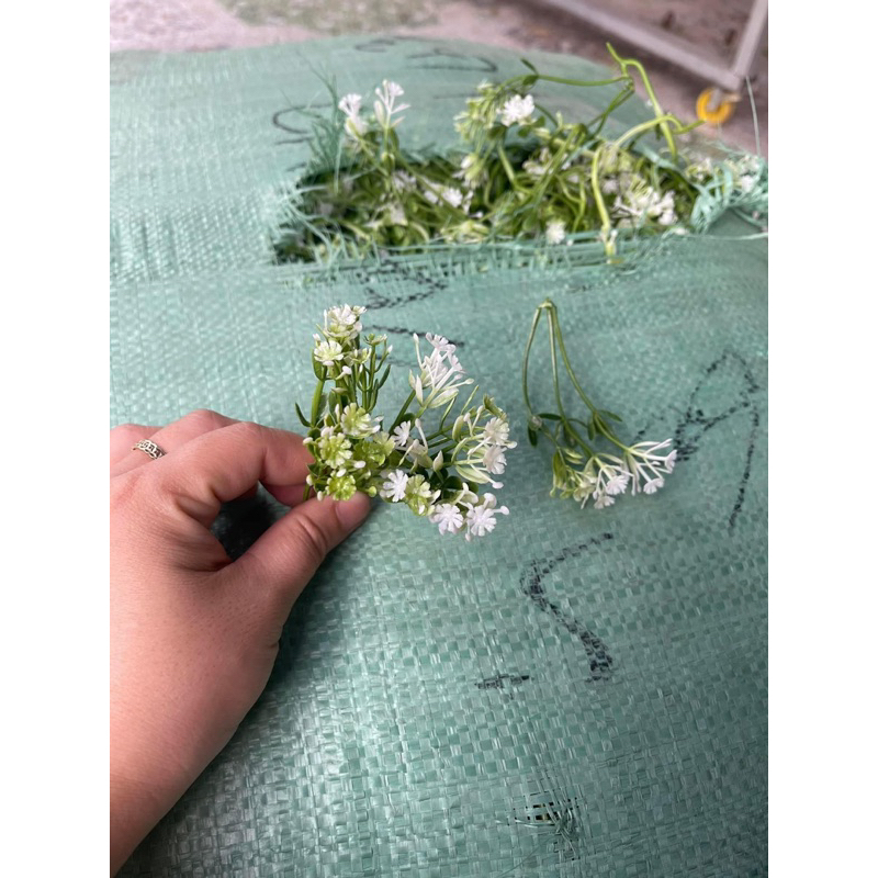 100gr hoa cỏ điểm trang trí - phần 1