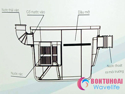 Hộp Bẫy Mỡ (Tách Mỡ) Thông Minh Wavelife Thái Lan
