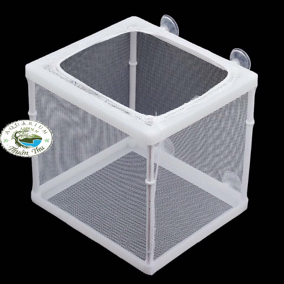 Lồng dưỡng cá, tách cách ly cá tép bằng vải tiện lợi