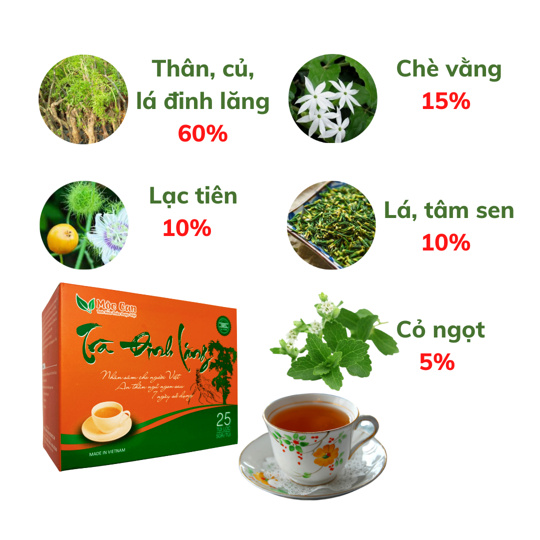 Combo 3 hộp Trà đinh lăng Mộc Can hộp 25 túi lọc