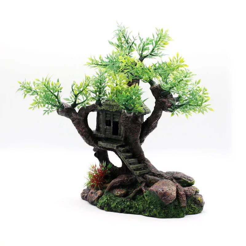 Trang trí thuỷ sinh , hồ cá “nhà cây”