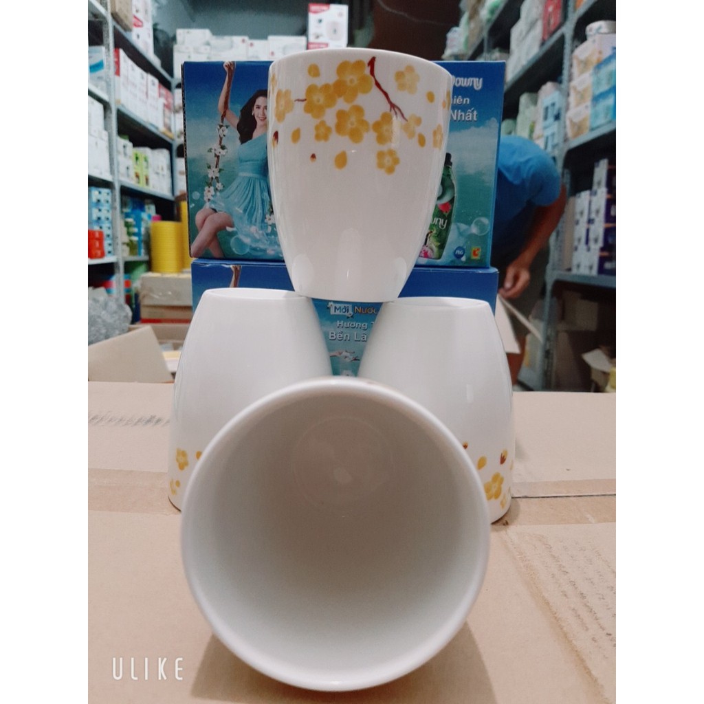 Bộ cốc sứ hoa mai Dong HWa