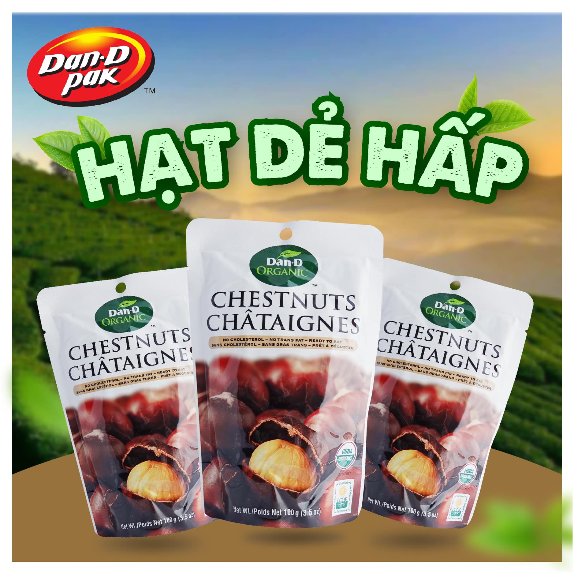 Hạt Dẻ Hấp Dan D Pak I Chest Nuts Ogranic I 100g