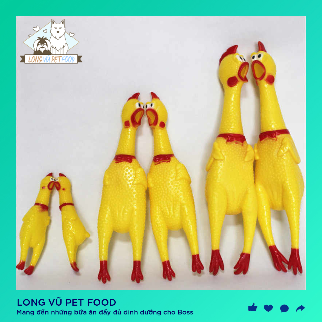 GÀ BÓP Biết Kêu Shrilling Chicken, Phát Ra La Hét Tiếng Gà Ngộ Nghĩnh - Đồ Chơi Cho Chó Mèo (Chọn Size) - Long Vũ Pet Food