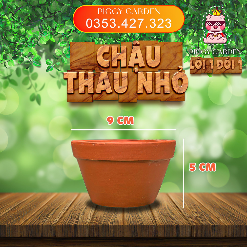 Chậu đất nung - Chậu trồng sen đá, xương rồng - Chậu thau nhỏ miệng 9cm, cao 5cm