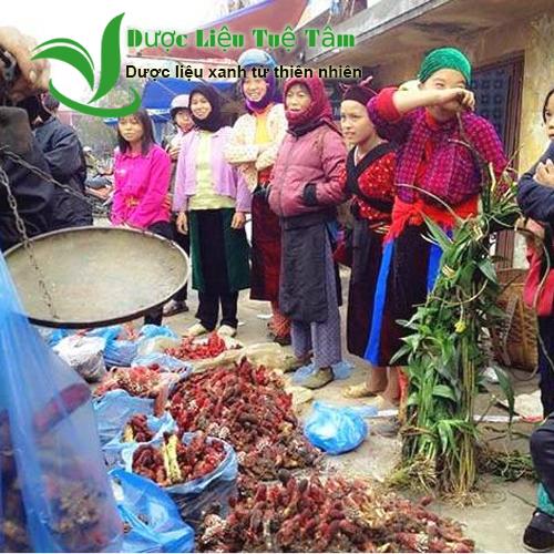 [HCM]Nấm ngọc cẩu khô - LOẠI 1 (gói1kg)