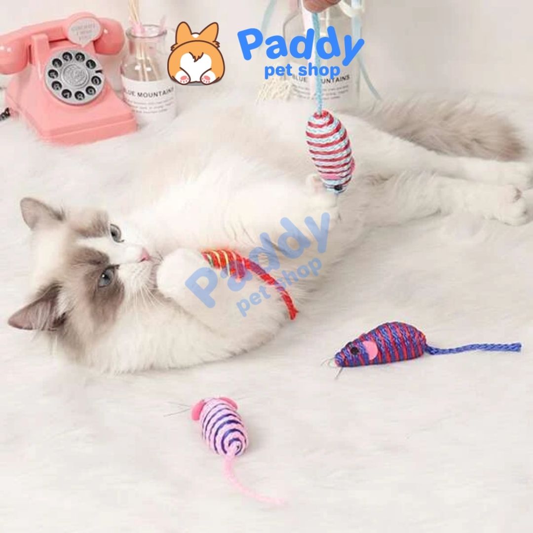 Đồ Chơi Cho Mèo Hộp 6 Chuột Mini CattyMan