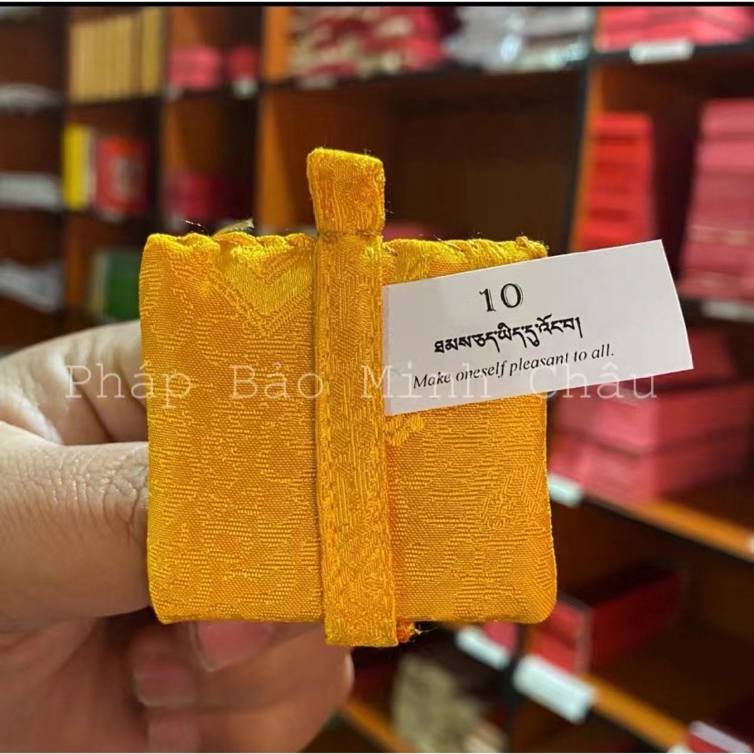 [PBMC] Linh phù Tu viện Shechen Nepal