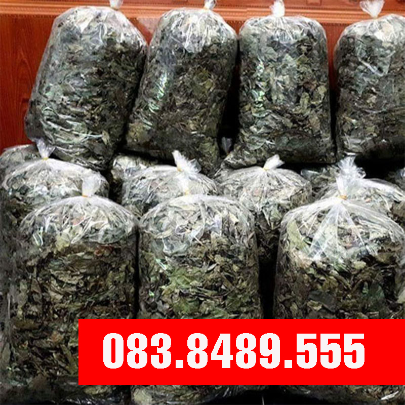 Xạ đen Hòa Bình (gói 1kg khô) - DB003