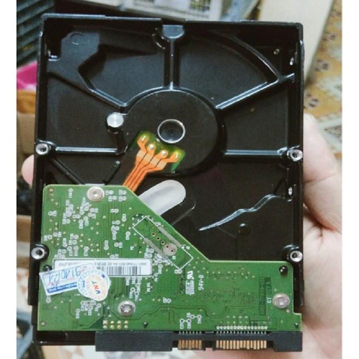 [HCM]Ổ cứng HDD Western 1TB