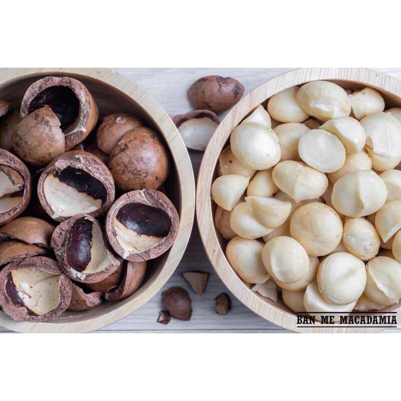 Nhân Hạt Macca Vỡ Đôi 100G
