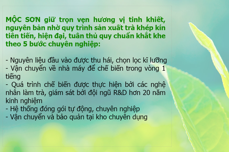 Combo 5kg Trà Đen Hồng Trà Bá Tước Mộc Sơn