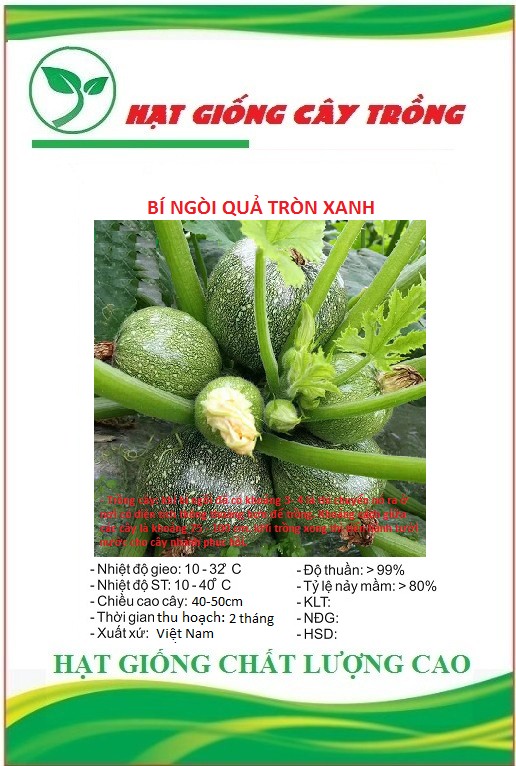 Hạt giống bí ngồi xanh quả tròn f1 - gói 10 hạt