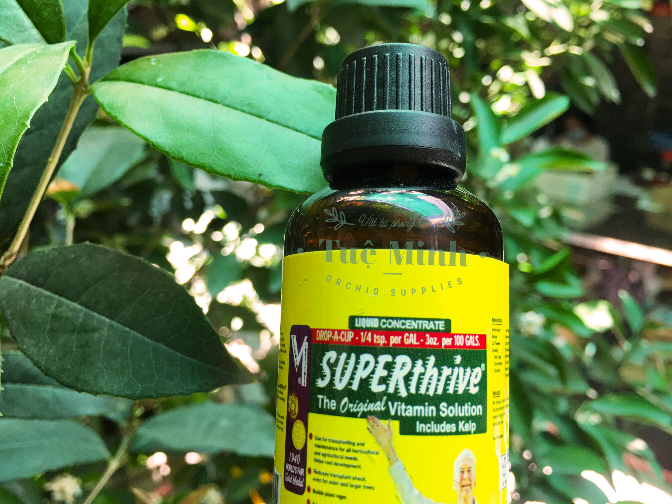 Kích thích tăng trưởng hoa Lan Superthrive chai 50ml