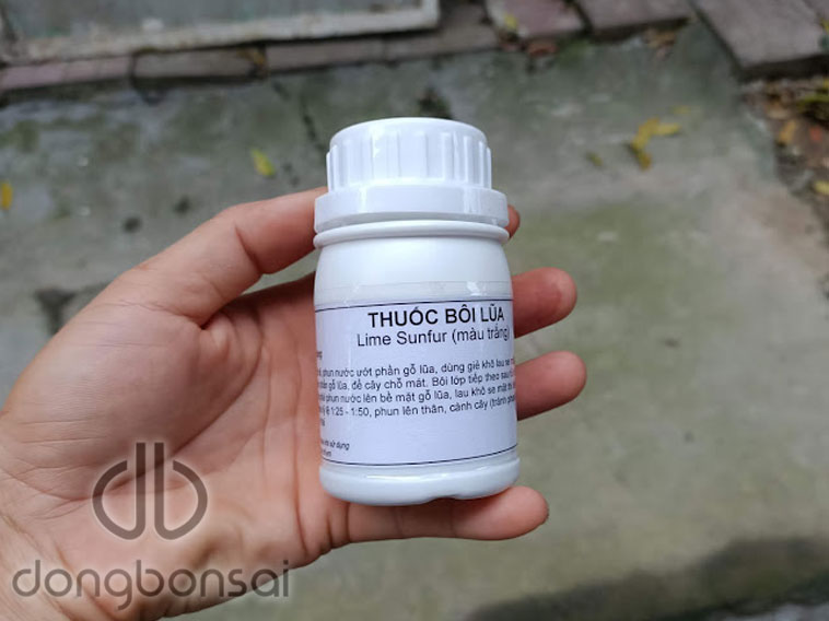 Combo 5 Chai dung dịch bôi lũa bonsai 150ml
