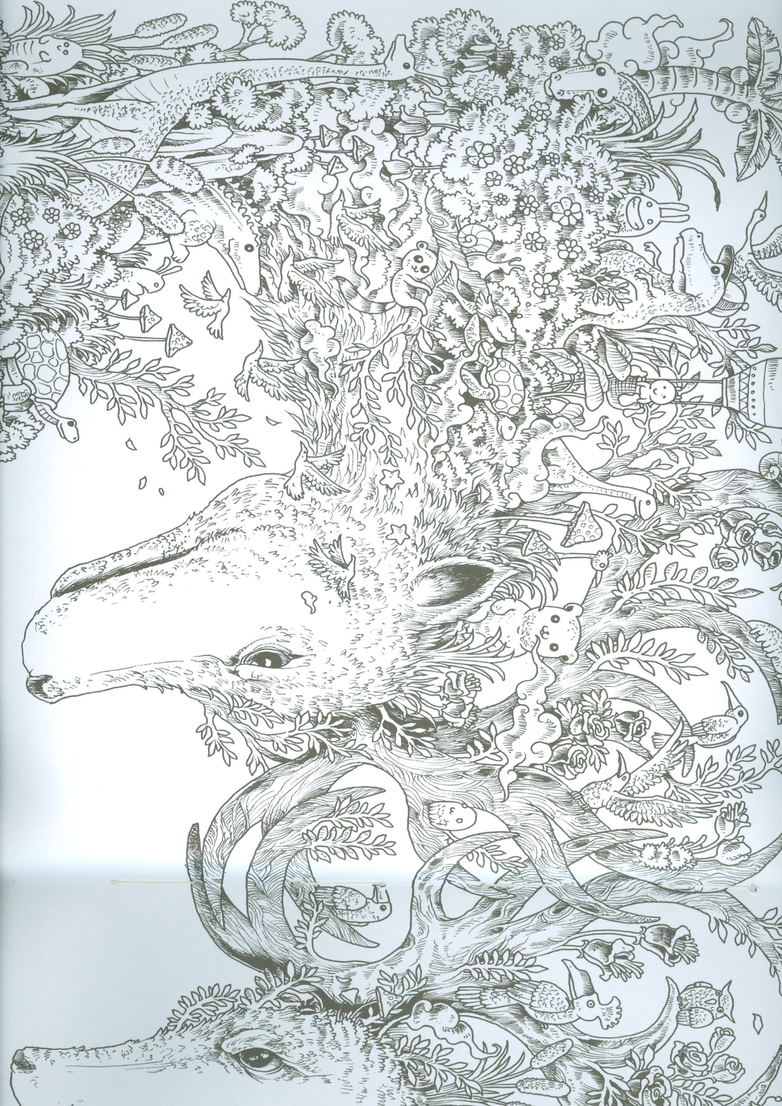 Thế Giới Hoang Dã - Animorphia