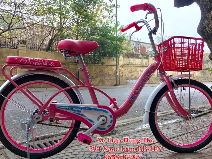Đánh giá chi tiết xe đạp mini cũ có gắn giỏ  SuaLong TV  YouTube