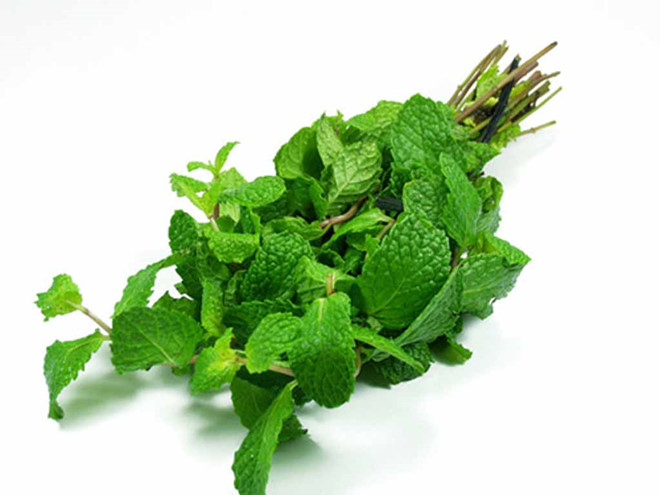 bột bạc hà