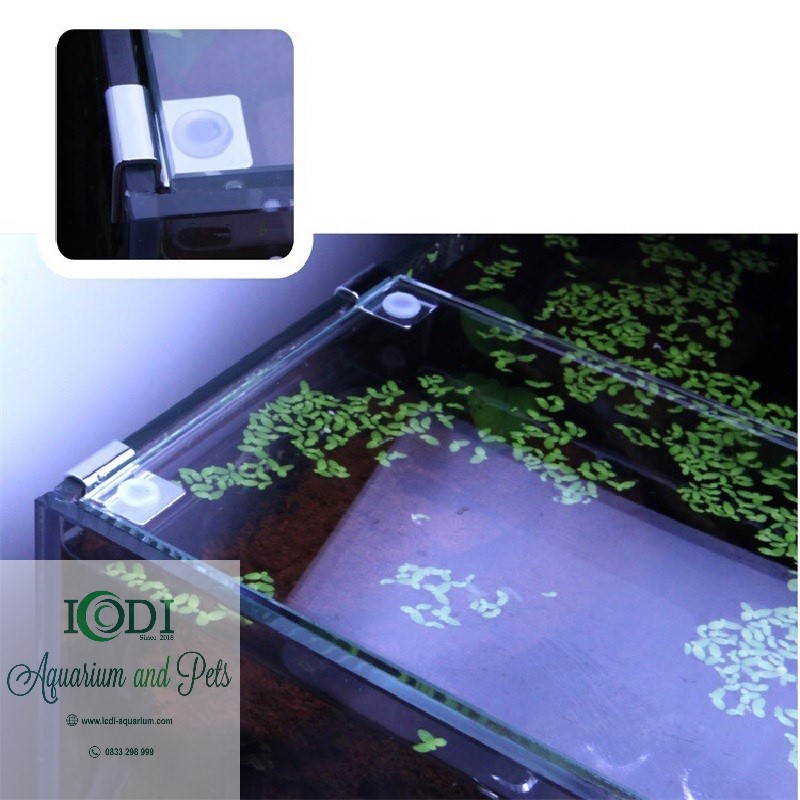 Kẹp Giữ Nắp Đậy Bể Cá Cảnh