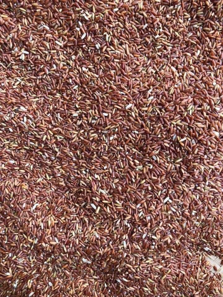 Gạo lứt đỏ - gạo quê Hà Giang - 1kg