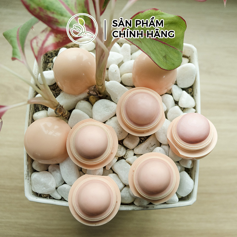 Son Dưỡng Môi Mini Garden Lip Balm PV989