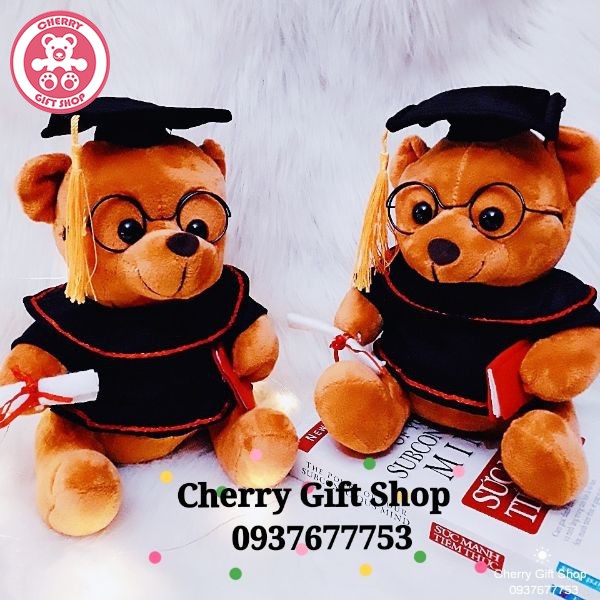 Gấu Bông Tốt Nghiệp Lông Mịn 25cm