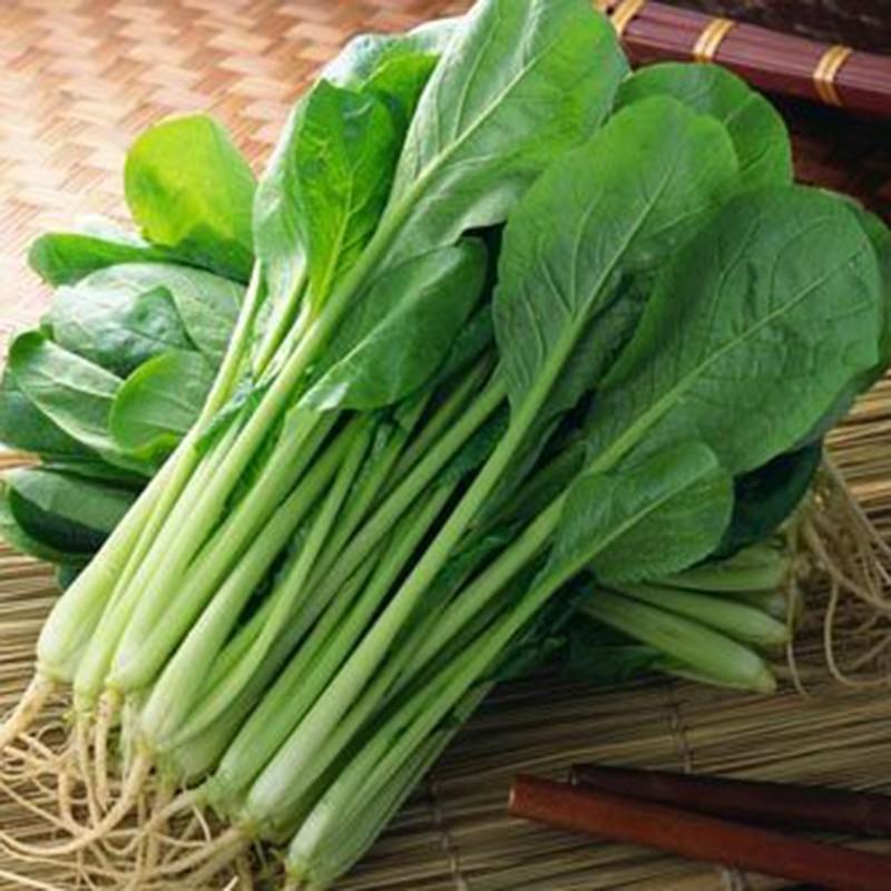 HẠT GIỐNG CẢI NGỌT PHÚ NÔNG 50GR