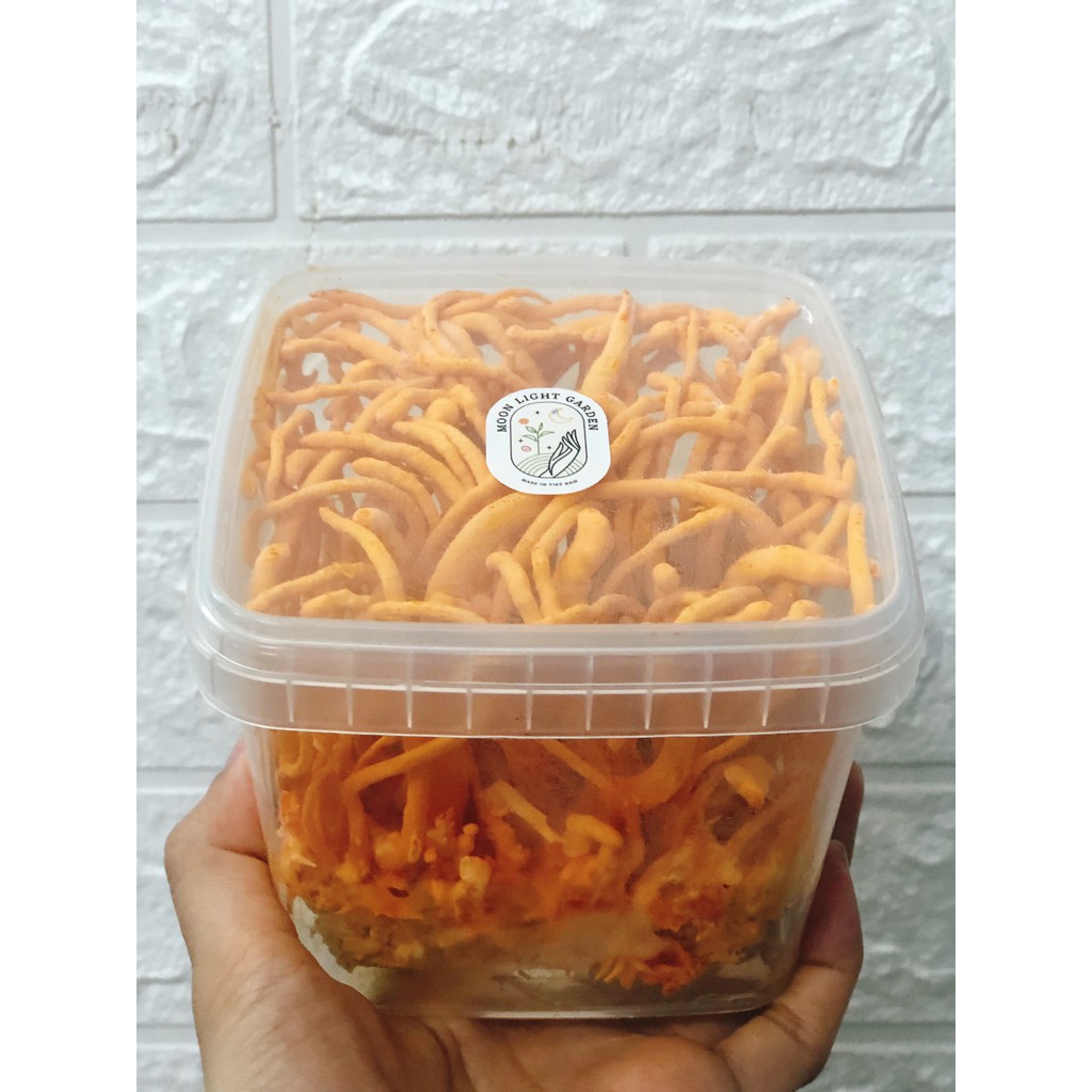Nấm đông trùng hạ thảo tươi "Cordyceps"