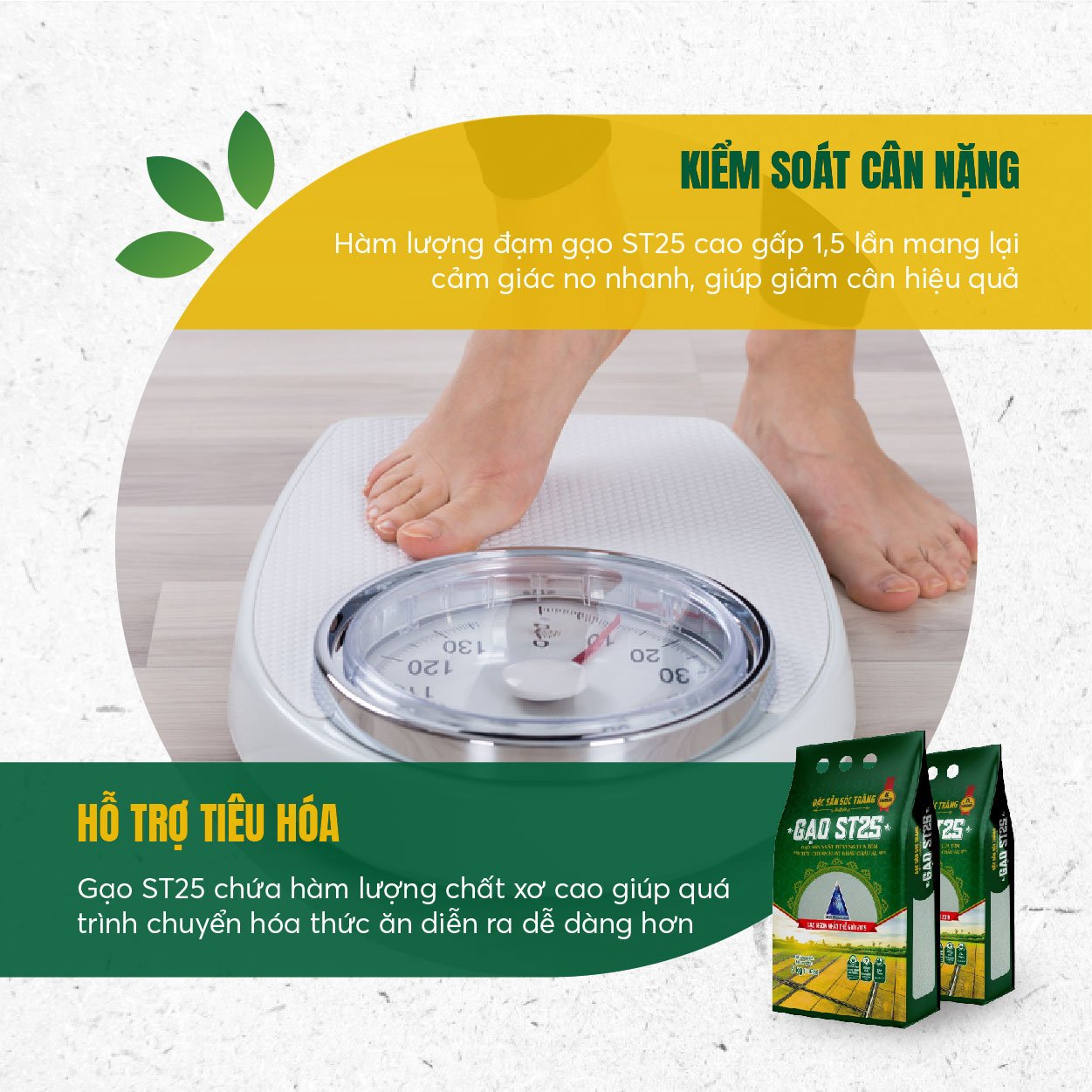 Gạo ST25 Vinaseed - gạo ngon chuẩn giống lúa ST25 (túi 5kg)
