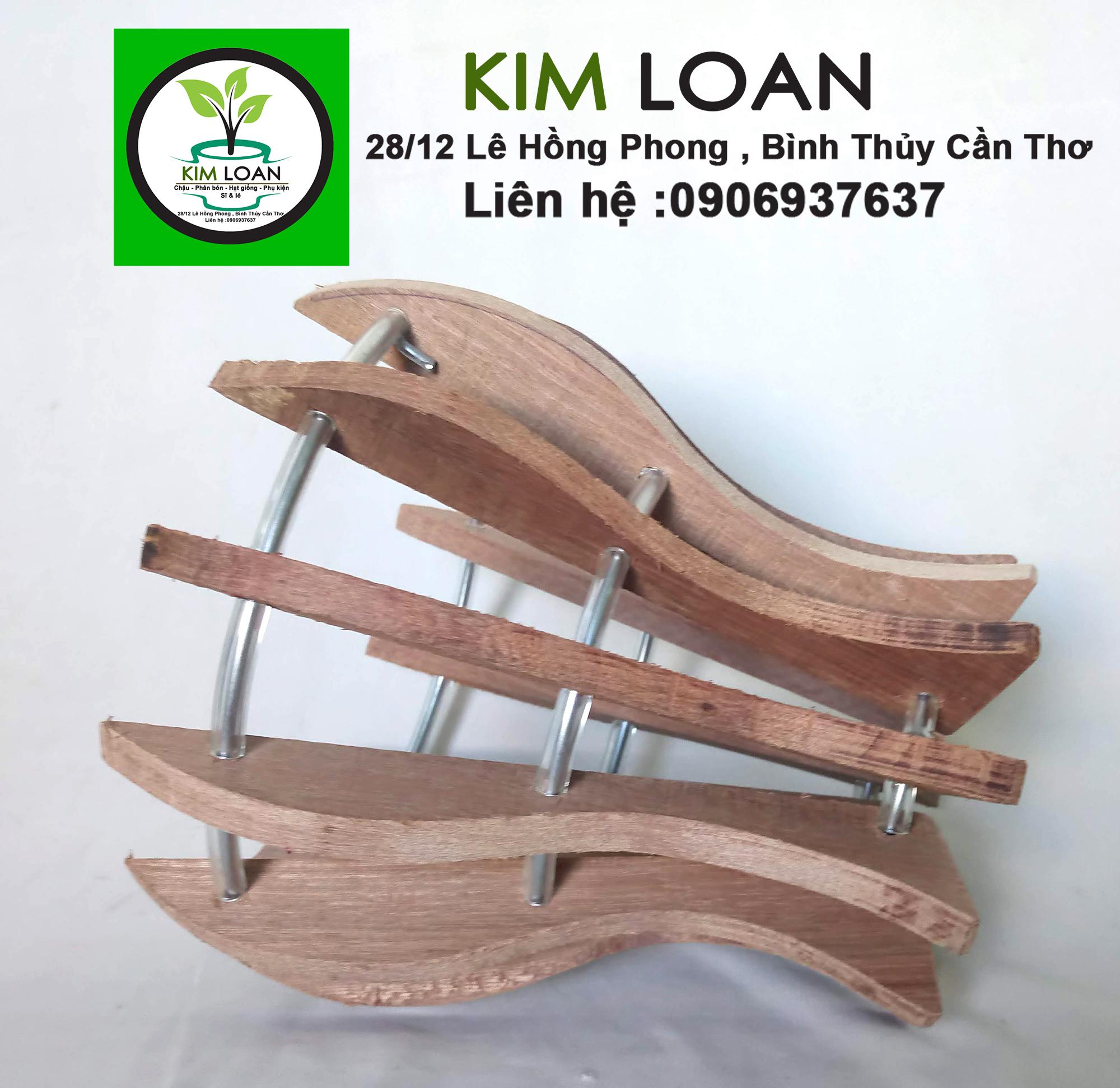 Combo 2 chậu lan gỗ hình ly 18x18cm