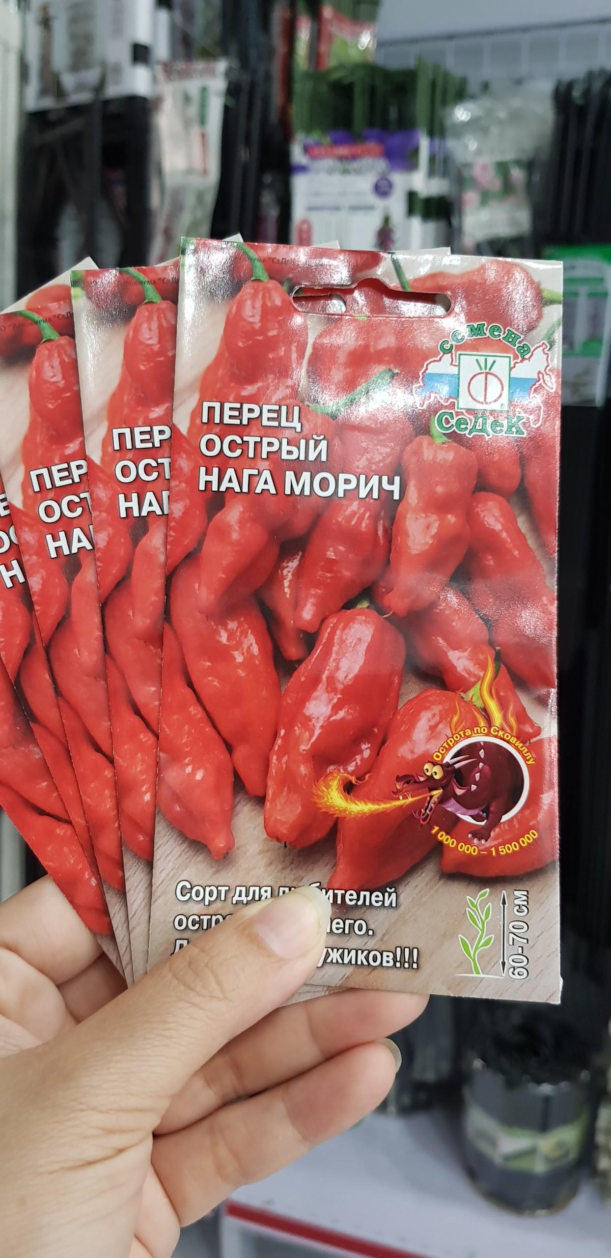HAT GIỐNG ỚT SIÊU CAY HANABERO ĐỎ - HG NGA