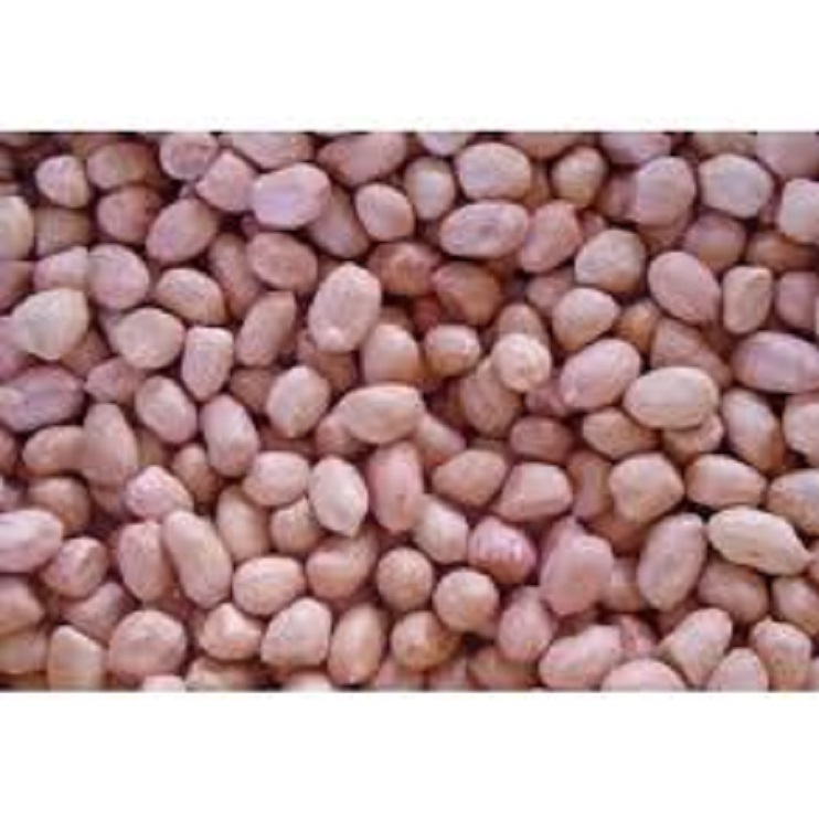 1 kg lạc vườn