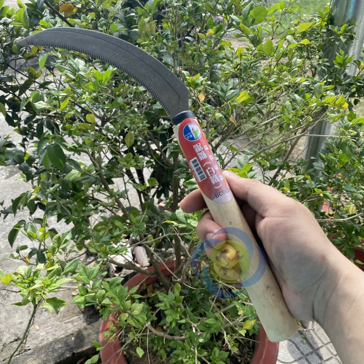 Lưỡi liềm Buddy BC0021