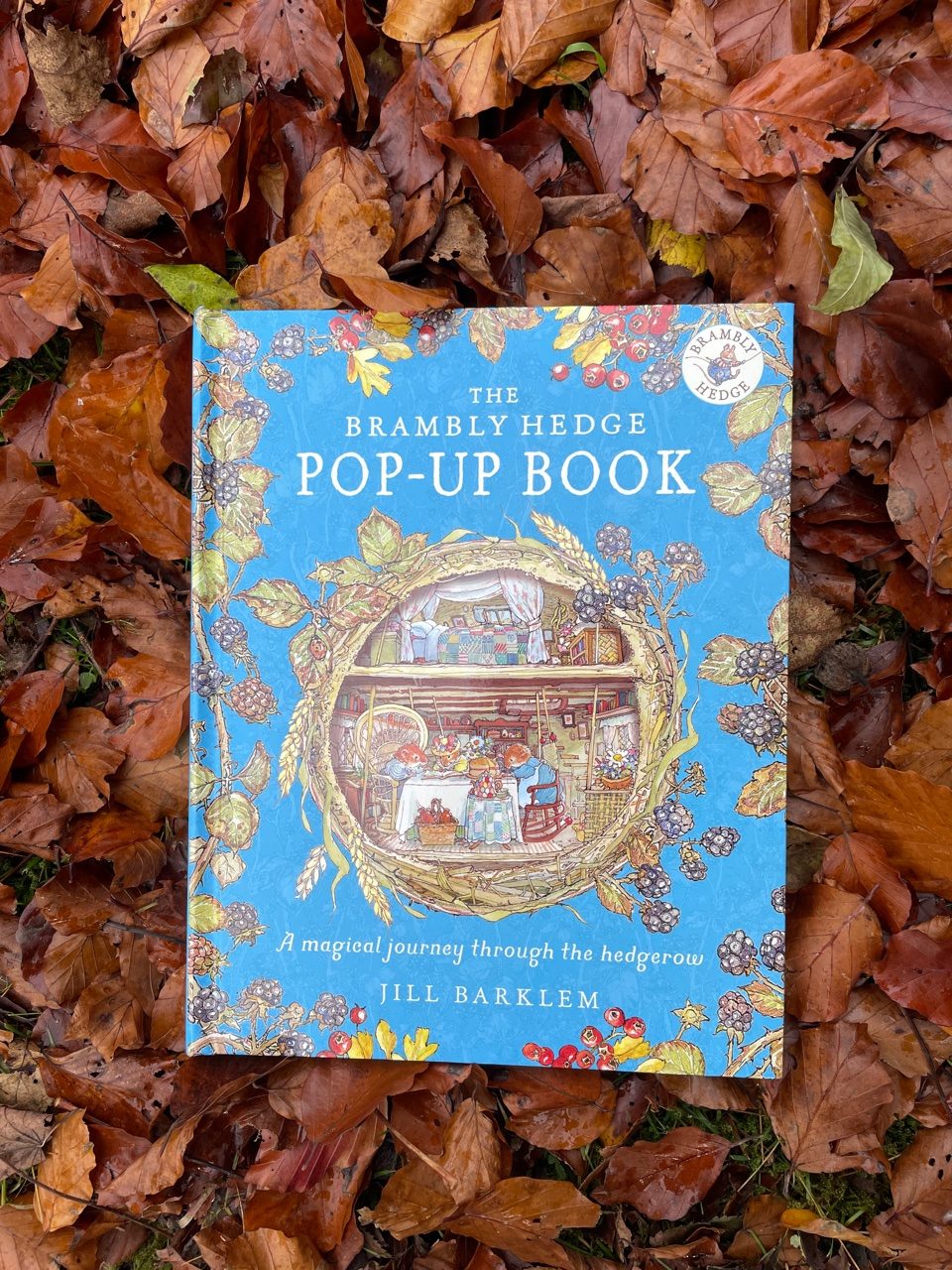 Brambly Hedge - Bản 3D Đặc Biệt Mới